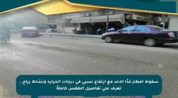 سقوط أمطار غدًا الأحد مع ارتفاع نسبي في درجات الحرارة ونشاط رياح.. تعرف على تفاصيل الطقس كاملةً
